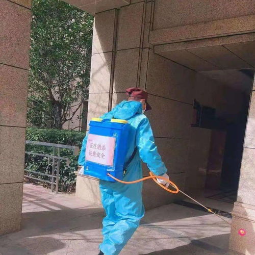 安全大過天 防寒防疫兩不誤 以“防疫健康包”為抓手，全力守護業(yè)主健康安全