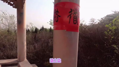 清徐服務區新發現 共享自行車服務，旅途中的便捷新選擇